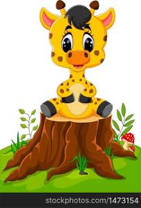 Cute baby giraffe sitting on tree stump