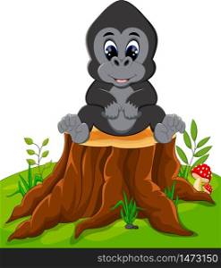 Cute baby gorilla sitting on tree stump