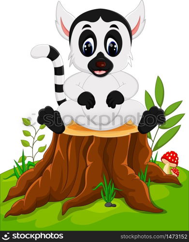 Cute baby lemur sitting on tree stump