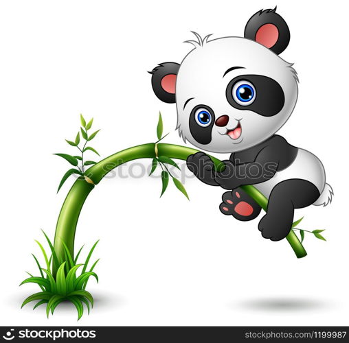 Cute baby panda tree climbing bamboo