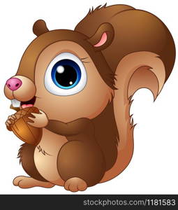 Cute baby squirrel cartoon a holding acorns