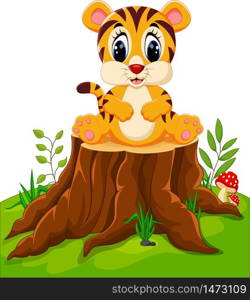 Cute baby tiger sitting on tree stump