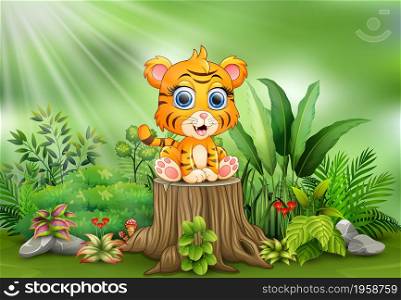 Cute baby tiger sitting on tree stump with green plants background
