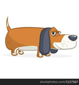 Cute Basset Hound dog cartoon. Vector illustration isolated on white background