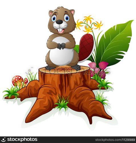 Cute beaver posing on tree stump