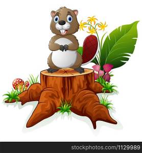 Cute beaver posing on tree stump