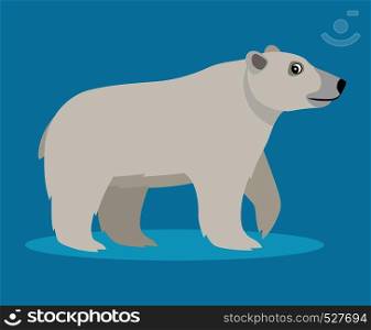 Cute big polar white bear icon, isolated on blue background, big furry beast, vector illustration in flat style. Cute big polar white bear icon, isolated on blue background, big furry beast, vector illustration in flat style.