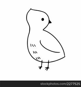 Cute bird drawn with a contour line. Vector character in the doodle style.