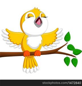Cute bird singing