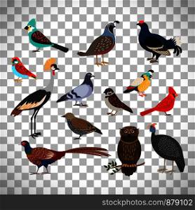 Cute birds set isolated on transparent background, vector illustration. Cute birds set on transparent background