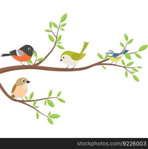 Cute birds with tree branch	