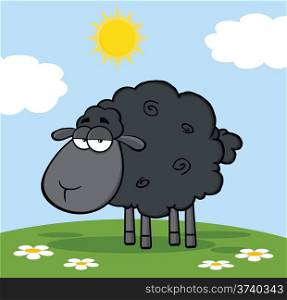 Cute Black Sheep On A Meadow