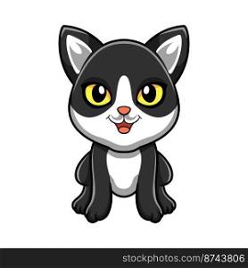 Cute black smoke cat cartoon