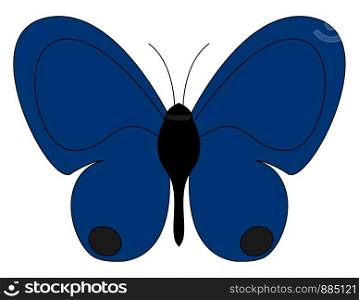 Cute blue butterfly, illustration, vector on white background.