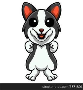 Cute border collie dog cartoon standing