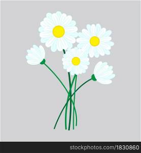 Cute bouquet of white daisies on purple background icon. Herbal flowers. Nature care. Vector illustration. Stock image. EPS 10.. Cute bouquet of white daisies on purple background icon. Herbal flowers. Nature care. Vector illustration. Stock image.