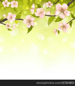 Cute Branches of Cherry Blossom Tree, Natural Background - Vector