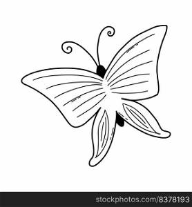 Cute butterfly in doodle style. Moth on white background. Vector illustration.