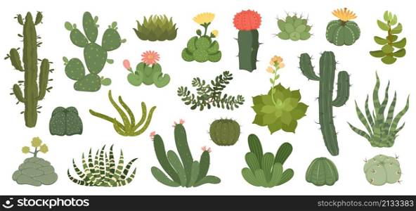 Cute cactus and succulents with flowers, exotic desert plants. Spiky succulent with flowering blossom, home decor terrarium plant vector set. Green spiny cartoon elements with bloom. Cute cactus and succulents with flowers, exotic desert plants. Spiky succulent with flowering blossom, home decor terrarium plant vector set