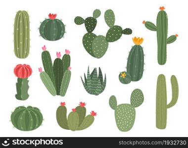 Cute cactus. Cartoon collection of decorative succulent. Isolated home green plant with blossom. Desert exotic flora with flowers and spikes. Landscape greenery element. Vector cozy houseplants set. Cute cactus. Cartoon collection of decorative succulent. Home green plant with blossom. Desert exotic flora with flowers and spikes. Landscape greenery element. Vector houseplants set