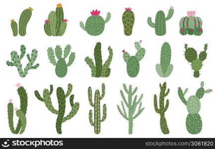 Cute cactus. Succulents and cacti flower, green prickly desert house plants, tropical home plants isolated vector illustration icons set. Flora of different size and shape for hot climate. Cute cactus. Succulents and cacti flower, green prickly desert house plants, tropical home plants isolated vector illustration icons set