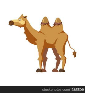 Cute camel, animal, trend cartoon style vector illustration. Cute camel, animal, trend, cartoon style, vector, illustration, isolated on white background