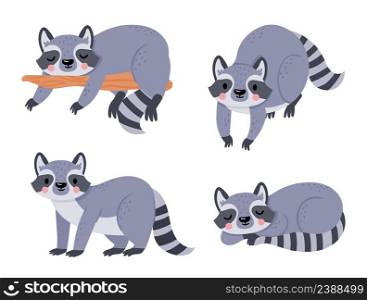 Cute cartoon baby raccoon, animal sleep and rest. Raccoon baby sleep and mascot lovely, vector illustration. Cute cartoon baby raccoon, animal sleep and rest
