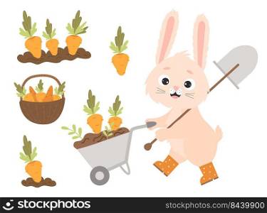 Cute cartoon bunny in rubber boots with garden wheelbarrow and shovel, harvesting. Carrots in garden bed and in wicker basket. Vector illustration happy character rabbit. Isolated elements