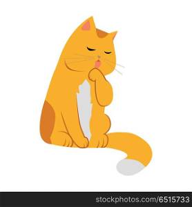 Cute Cartoon Cat. Cute cartoon orange cat. The orange cat washes, licks a paw. Cat is washing itself. Cat icon. Pet icon. Isolated vector illustration on white background