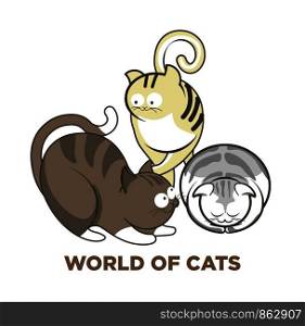 Cute cartoon cats and kittens playing or posing. Vector isolated flat icon of cat sleeping cuddle, play with paw and tail or catching and jumping. Cute cats or kitten pets playing or posing vector flat icons