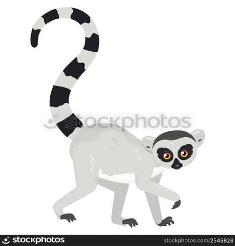 Cute cartoon gray lemur catta, ring tailed illustration.