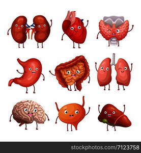 Cute cartoon human organs. Stomach, lungs and kidneys, brain and heart, liver. Funny inner organs vector anatomy characters brain and heart, liver and internal organ illustration. Cute cartoon human organs. Stomach, lungs and kidneys, brain and heart, liver. Funny inner organs vector anatomy characters