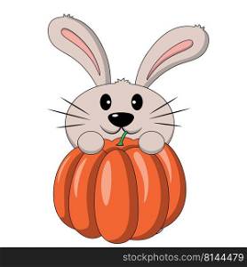Cute cartoon Rabbit and pumpkin. Draw illustration in color