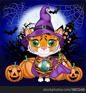 Cute cartoon tiger with beautiful eyes, orange in a purple cloak and witch&rsquo;s hat, with a broom and pumpkins. Halloween 2022.. Cute cartoon tiger with beautiful eyes, orange in a purple cloak and witch&rsquo;s hat, with a broom and pumpkins. Halloween