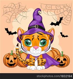Cute cartoon tiger with beautiful eyes, orange in a purple cloak and witch&rsquo;s hat, with a castle and pumpkins. Halloween 2022.. Cute cartoon tiger with beautiful eyes, orange in a purple cloak and witch&rsquo;s hat, with a broom and pumpkins. Halloween