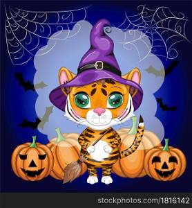 Cute cartoon tiger with beautiful eyes, orange in a purple hat with a broom and pumpkins. Halloween 2022.. Cute cartoon tiger with beautiful eyes, orange in a purple cloak and witch&rsquo;s hat, with a broom and pumpkins. Halloween
