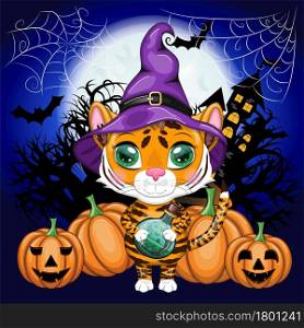 Cute cartoon tiger with beautiful eyes, orange in a purple witch&rsquo;s hat, with a broom and pumpkins. Halloween 2022.. Cute cartoon tiger with beautiful eyes, orange in a purple cloak and witch&rsquo;s hat, with a broom and pumpkins. Halloween