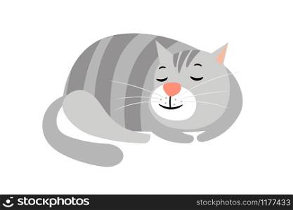 Cute cat. Domestic gray striped cat animal isolated on white background, kitten vector character. Cute cat. Domestic gray striped cat animal isolated on white, kitten vector