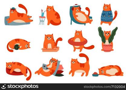 Cute cats. Cat in box, adorable red kitty sleeping and fat cat in fur sweater vector illustration set. Domestic animal lifestyle. Comic kitten in glasses working on laptop, drinking milk stickers. Cute cats. Cat in box, adorable red kitty sleeping and fat cat in fur sweater vector illustration set. Domestic animal lifestyle. Comic pet in glasses working on laptop, drinking cocktail stickers