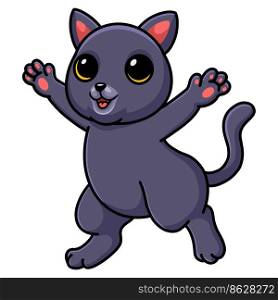 Cute chartreux cat cartoon posing