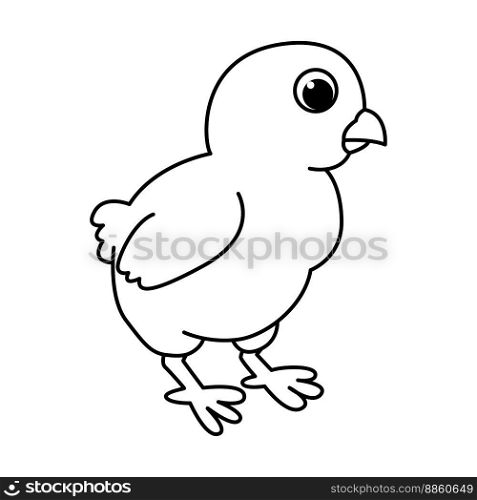 Cute chick cartoon characters vector illustration. For kids coloring book.