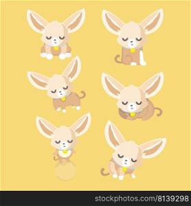 Cute chihuahua set in different poses. . Cute chihuahua set 