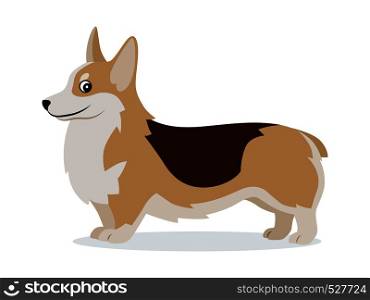 Cute corgi icon, small playful dog with short paws isolated, domestic animal, pet, vector illustration in flat style. Cute corgi icon, small playful dog with short paws isolated, domestic animal, pet, vector illustration