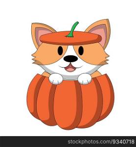 Cute Corgi in costume pumpkin in color