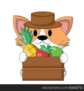 Cute Corgi with fruit in wooden box in color