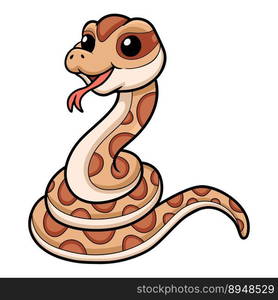 Cute rattlesnake cartoon on white background — Stockphotos.com