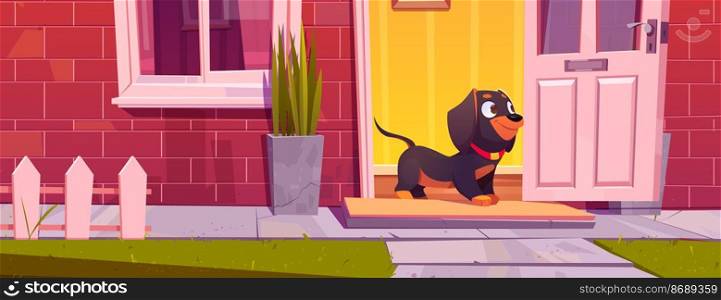 Cute dachshund dog stand at home door, pet going for a walk. Domestic animal cartoon funny character at cottage doorway with window, red brick and fence, puppy at house outside, Vector Illustration. Cute dachshund dog stand at home door, pet walk