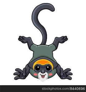 Cute de brazza s monkey cartoon posing