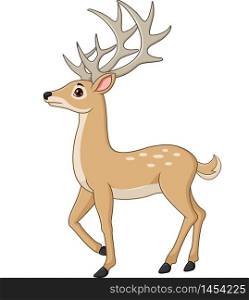 Cute deer cartoon isolated on white background
