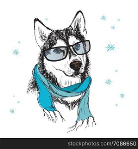 Cute dog with scarf and glasses,snow on background,vector illustration